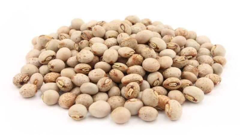 Pigeon_peas_1600x900