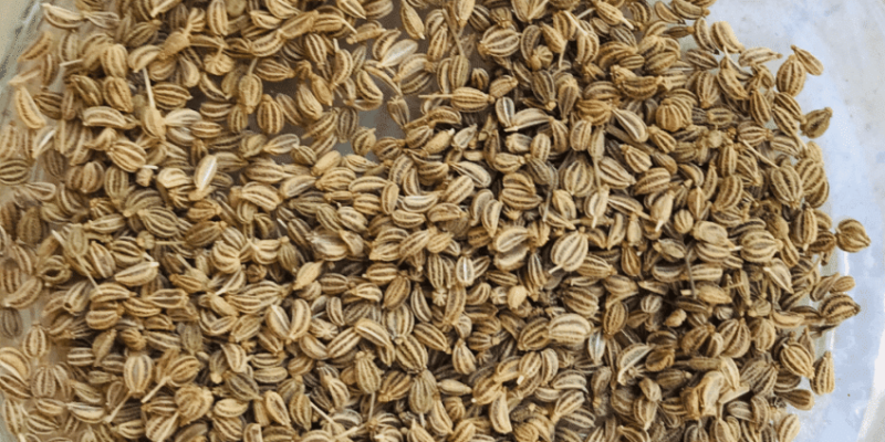 ajwain-848x424