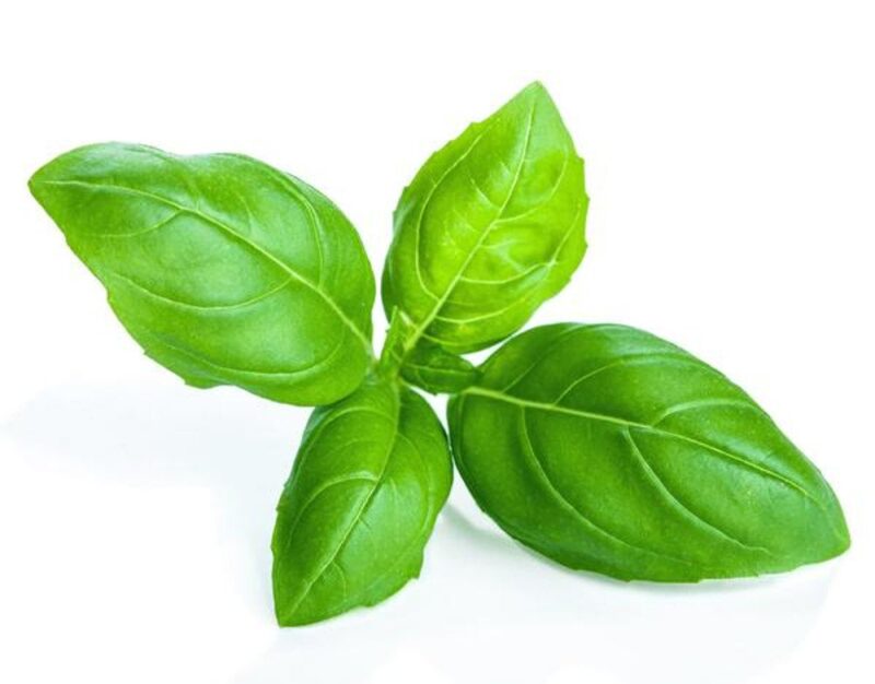 basil