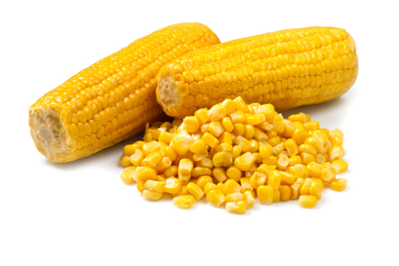 corn_whitebg