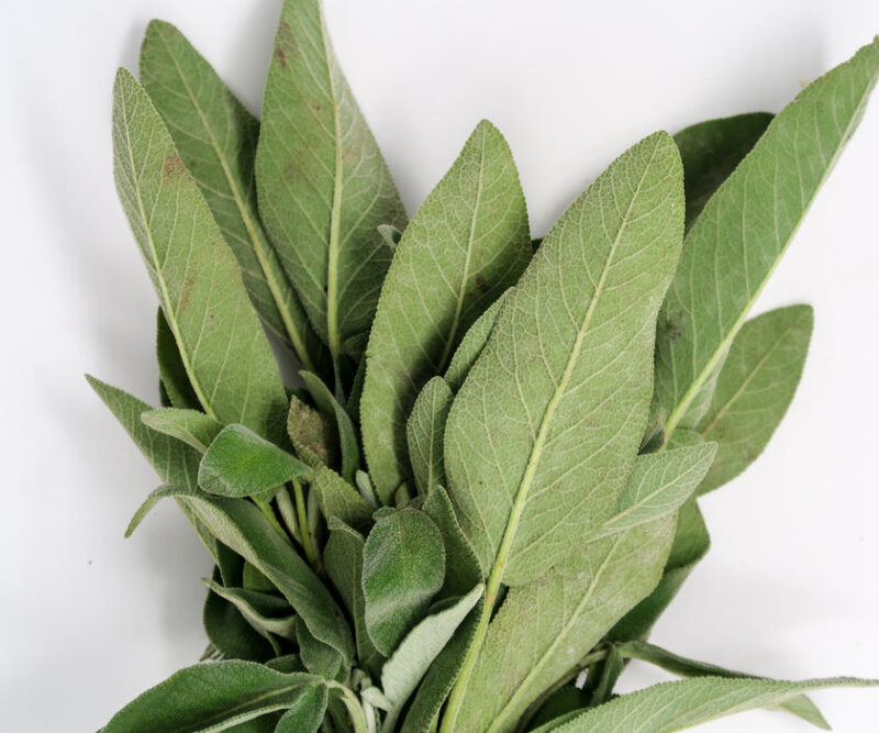 sage