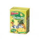 Wholesale, Bulk, Global Supply of Fruit Juices