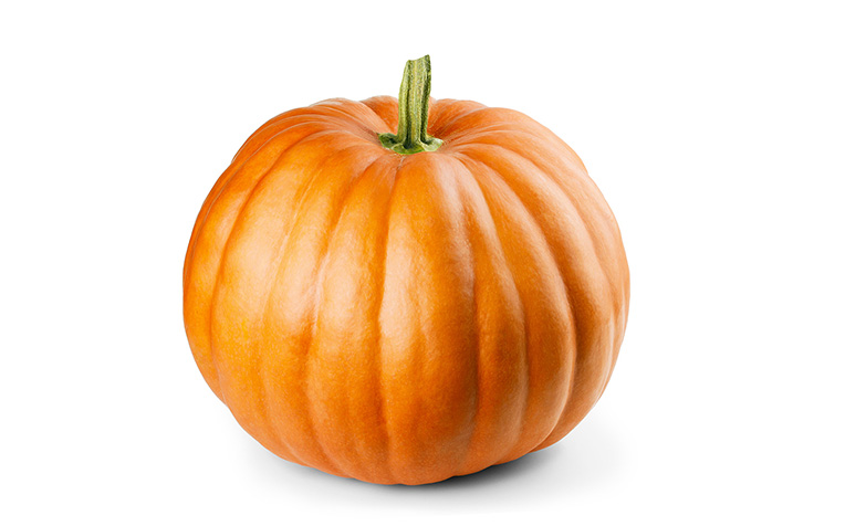 Pumpkin Foodfinderz