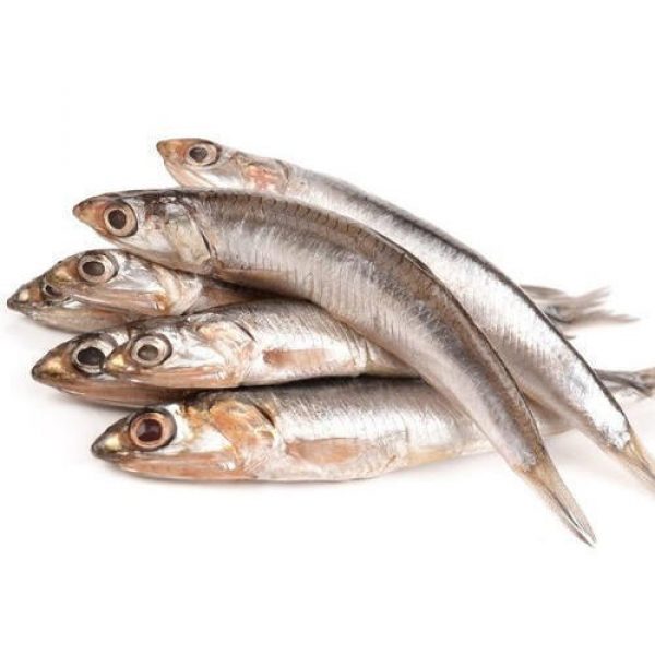 Wholesale, Bulk, Global Supply of Anchovies Fish